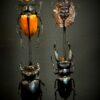 Stolp met diverse grote kevers Stolp met diverse grote kevers