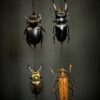Stolp met diverse grote kevers Stolp met diverse grote kevers