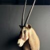 Vintage kop van een Oryx