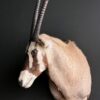 Vintage kop van een Oryx