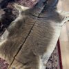 Zonkey huid