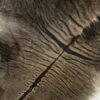 Zonkey huid Zonkey huid