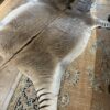 Zonkey huid Zonkey huid