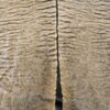 Zonkey huid Zonkey huid