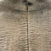Zonkey huid Zonkey huid