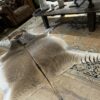 Zonkey huid