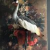 Opgezette kroonkraanvogel