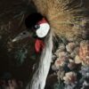 Opgezette kroonkraanvogel