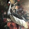 Opgezette kroonkraanvogel