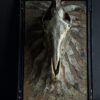 Kunstwerk zebraschedel