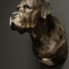 Opgezette Deense dog
