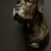 Opgezette Deense dog Opgezette Deense dog