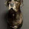 Opgezette Deense dog Opgezette Deense dog