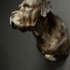 Opgezette Deense dog Opgezette Deense dog