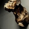 Opgezette Deense dog Opgezette Deense dog