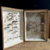 Antieke insecten dozen