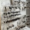 Antieke insecten dozen