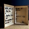 Antieke insecten dozen
