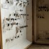 Antieke insecten dozen