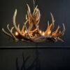 Geweihlampe Wapiti Geweihlampe Wapiti