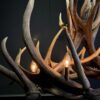 Geweihlampe Wapiti Geweihlampe Wapiti