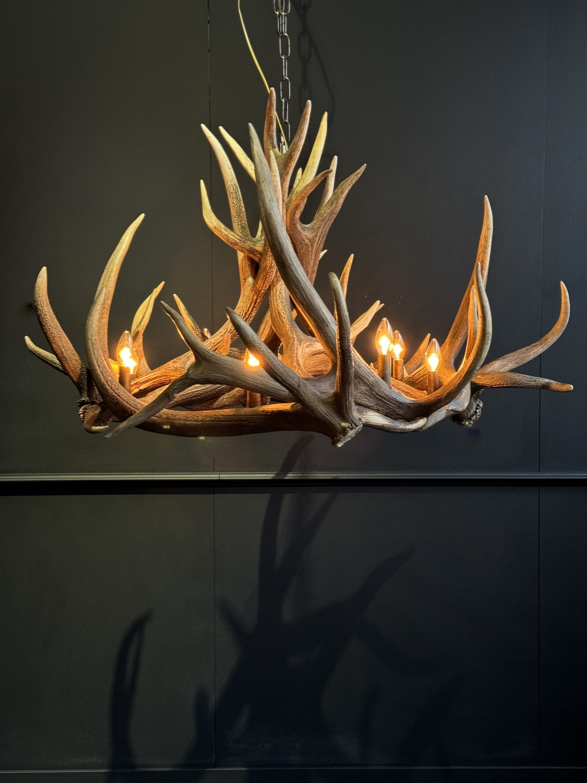 Geweihlampe Wapiti