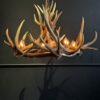 Geweihlampe Wapiti Geweihlampe Wapiti