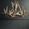 Geweihlampe Wapiti Geweihlampe Wapiti