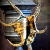 Gouden schelp op marmeren sokkel Gouden schelp op marmeren sokkel