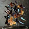 Antieke stolp met vlinders Antieke stolp met vlinders