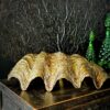 Doopvondschelp goud Doopvondschelp goud