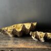 Doopvondschelp goud Doopvondschelp goud