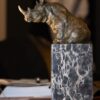 Neushoorn brons