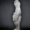 Marmeren Venus beeld Marmeren Venus beeld