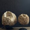 Decoratieve Spons Decoratieve Spons