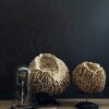 Decoratieve Spons Decoratieve Spons