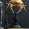 Krab op houten voet