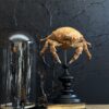 Krab op houten voet