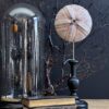 Zee-egel op houten console