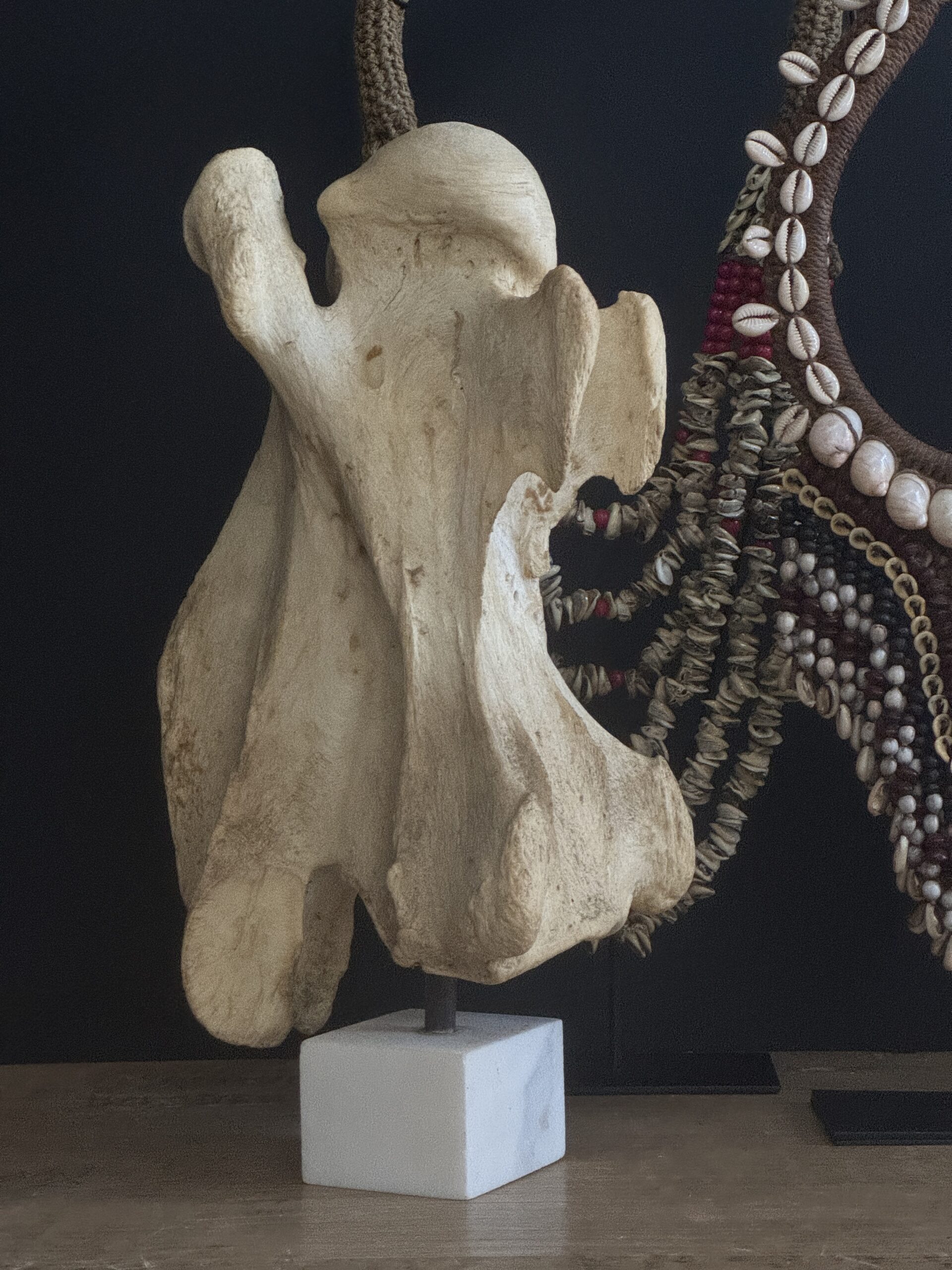 Wervel van een Giraffe