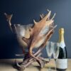 Champagnekoeler van gewei