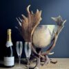 Champagnekoeler van gewei