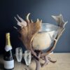 Champagnekoeler van gewei