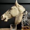 Beeld paardenhoofd