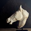 Beeld paardenhoofd