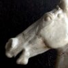 Beeld paardenhoofd