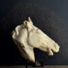 Beeld paardenhoofd