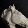 Beeld paardenhoofd