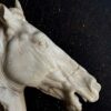 Beeld paardenhoofd