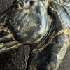 Beeld paardenhoofd Beeld paardenhoofd